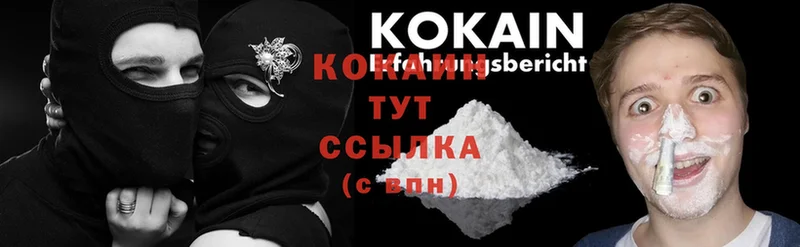 MEGA tor  Болохово  Cocaine Fish Scale 